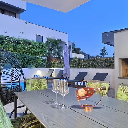 فيلة Celestial *